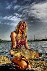 Meet Carp Romanian Awards - 2012